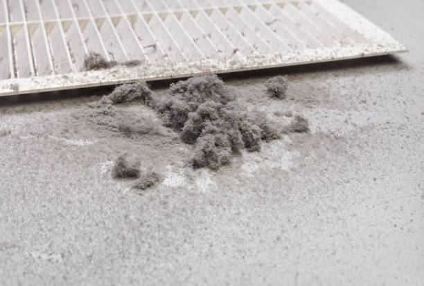 Best HVAC System Cleaning  in Bostonia, CA