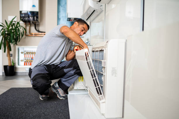 Air Duct Mold Removal in CA