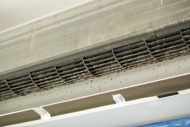 Best Commercial Air Duct Cleaning  in Bostonia, CA