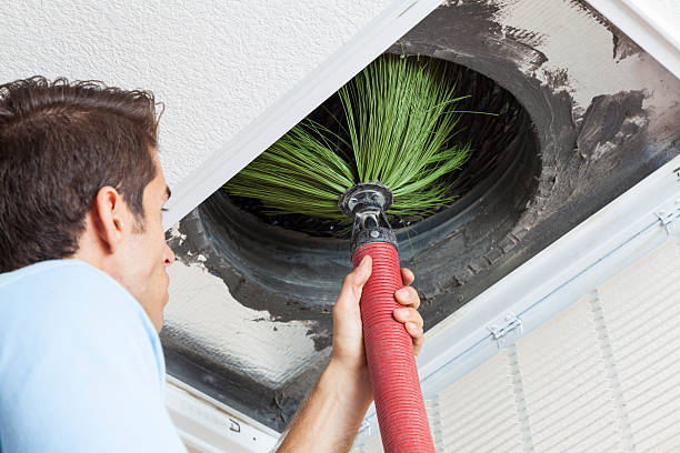 Best Affordable HVAC Duct Cleaning  in Bostonia, CA